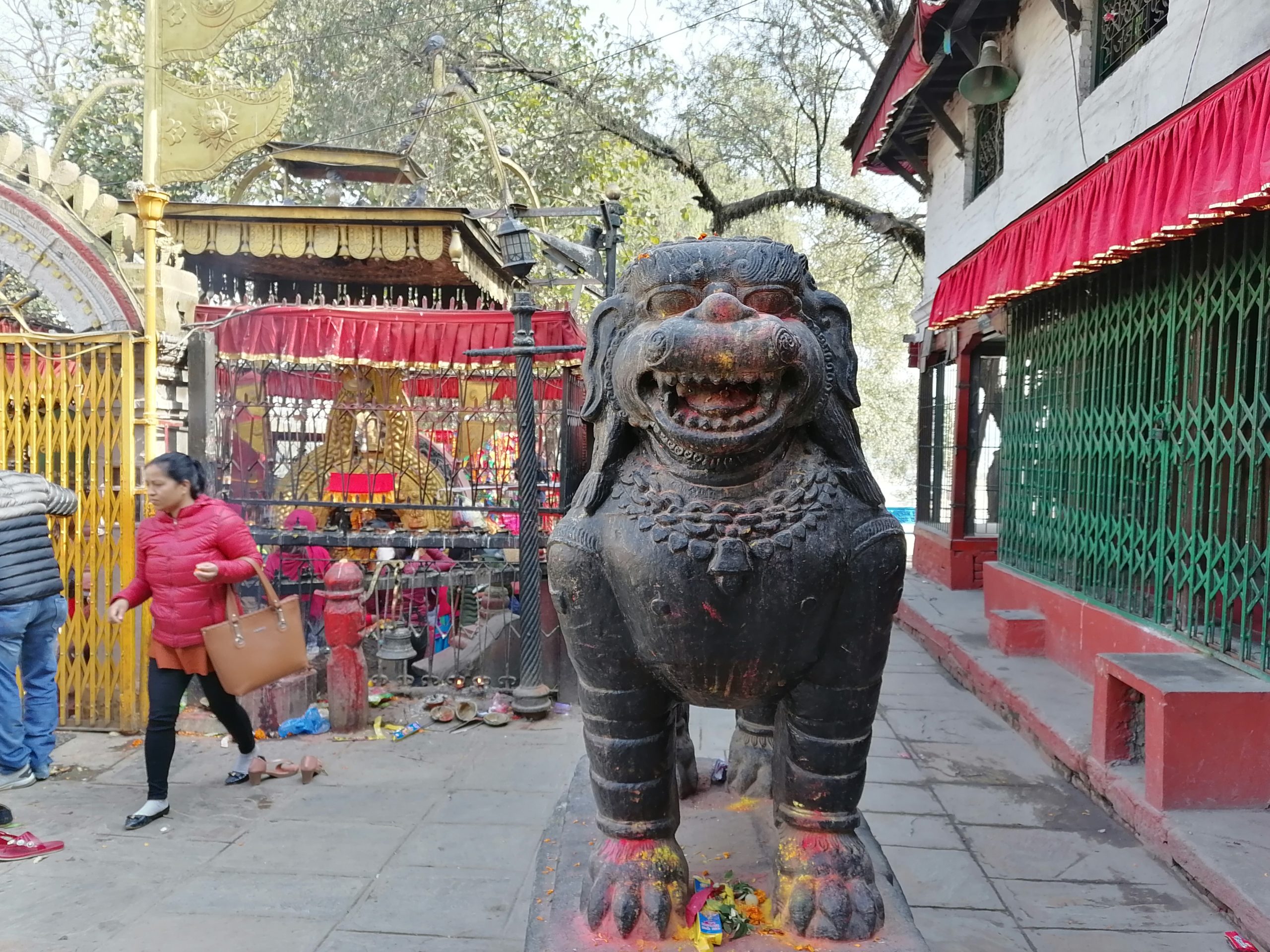 टेकोका भरमा भद्रकाली सत्तल, दर्शनार्थी त्रासमा 