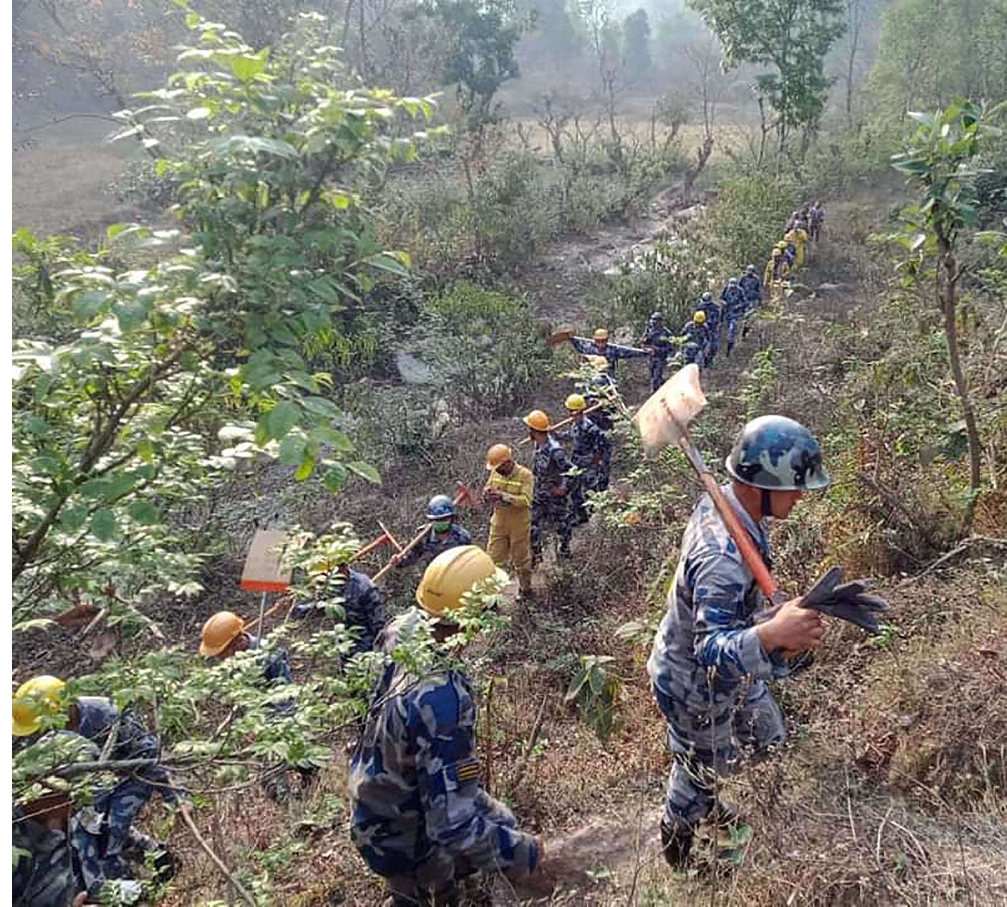 सामुदायिक बनमा लागेको डढेलो सशस्त्र प्रहरीको सहयोगमा नियन्त्रण