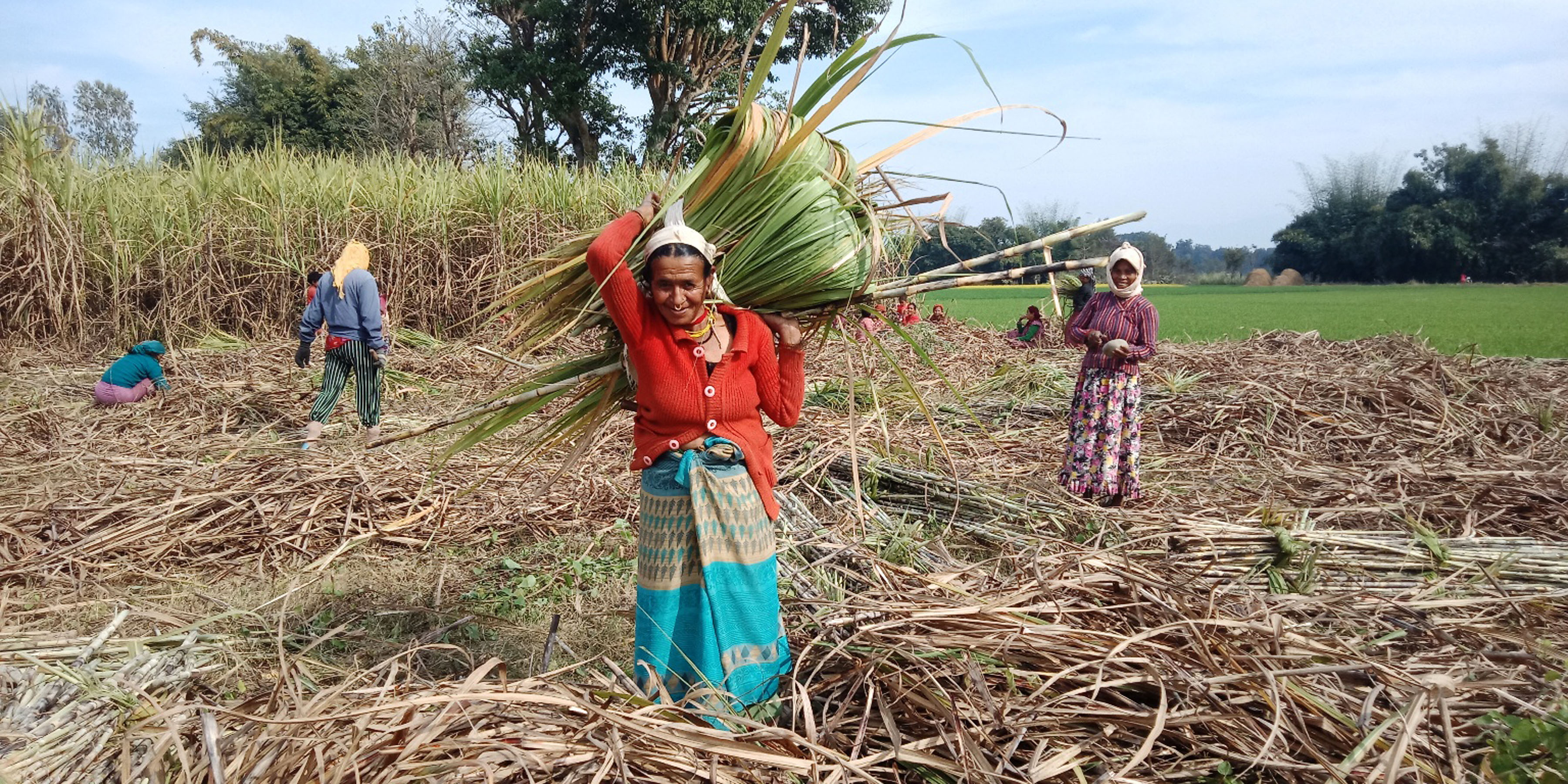 लुम्बिनी चिनी मिलका सञ्चालक मनोज अग्रवाल पक्राउ