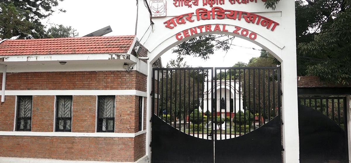 चिडियाखानाको टिकट अनलाइनमै