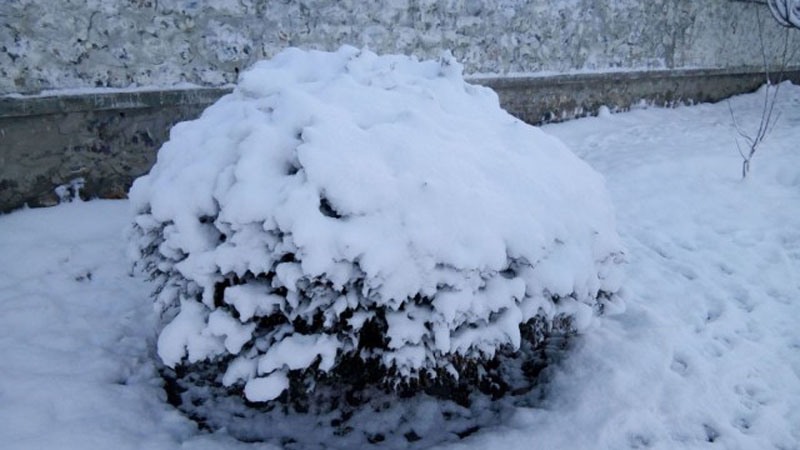 सोलुखुम्बुको उच्च हिमाली क्षेत्रमा हिमपात, जनवीवन प्रभावित