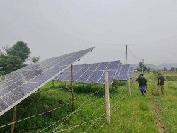 मिनर्जीको सहयोगमा बागमती गाउँपालिका प्युटारमा सौर्य सिँचाई आयोजना सुरु हुँदै 