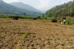 बाँझो जमिनमा व्यावसायिक खेती गर्न प्रोत्साहन कार्यक्रम सञ्चालन