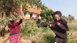सुदूरपश्चिमको विशु पर्व : जहाँ नयाँ वर्षको दिन मानिसहरू सिस्नु हानाहान गर्छन्