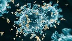 कोरोना भाइरसको नयाँ भेरियन्ट ओमिक्रोन एक्सविविको संक्रमण बढ्दो