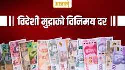 यस्तो छ आज विहीबारका लागि विदेशी मुद्राको विनिमय दर