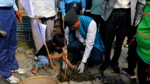 लपुमनपा–१४ को कान्तिलोक पथ बाबा चोकदेखि रामस्टोरसम्मको सडक पेटीमा वृक्षारोपण