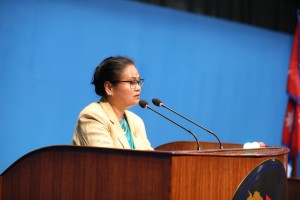भिजिट भिसालाई पारदर्शी र व्यवस्थित गर्न सांसद चौधरीको सुझाव 