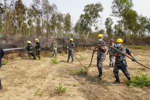 हेटौडा सिमेन्ट नजिकै जंगलमा लागेको आगो सशस्त्रले निभायो