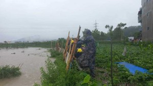 मनोहरा खोला बस्तीमा पसेपछि अस्थायी बार लगाईयो