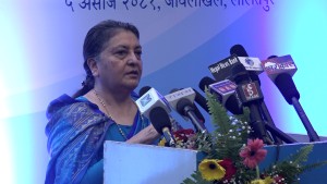 कला र साहित्यले विश्वव्यापी भाइचारालाई मजबुत बनाउँछ : पूर्वराष्ट्रपति