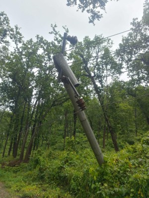 लगातारको वर्षाले रुख ढल्दा सुर्खेत–जाजरकोटतर्फको विद्युत् सेवा प्रभावित