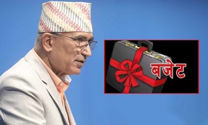 बजेट सन्तुलित तर कार्यान्वयन चुनौतीपुर्ण- चेम्बर