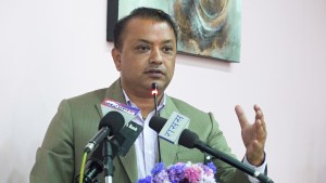 सरकारले गति लिन सकेन : गगन थापा