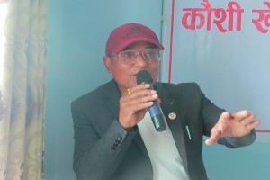 लपुमनपा–२३ मा कौशी तरकारी खेती तालिम सम्पन्न (भिडियो) 