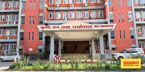 सरकारले उखु किसानलाई १ अर्ब ५० करोड रुपैयाँभन्दा बढी अनुदान दिने