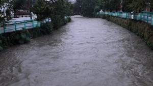 नदी करिडोरमा साँझ ६ बजेदेखि सवारी आवागमनमा रोक
