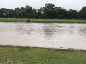 गोहीको आक्रमणबाट बेपत्ता युवा फेला परेनन् 