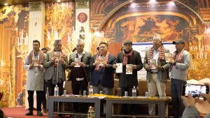 कांग्रेसमा बीपीको नाम लिएर उम्किने परिपाटीको विकास भएको छ : गगन थापा