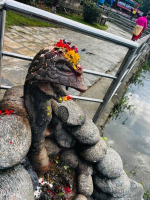 नागपञ्चमीका अवसरमा टौदहमा पूजा आराधना 