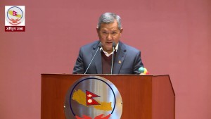 सामाजिक सञ्जाल सम्बन्धित विधेयक राष्ट्रिय सभामा पेस 