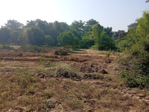 सिरहामा बस्ती नजिक अवैध उत्खनन्, मेयर र ठेकेदारबीच मिलेमतो भएको आशंका