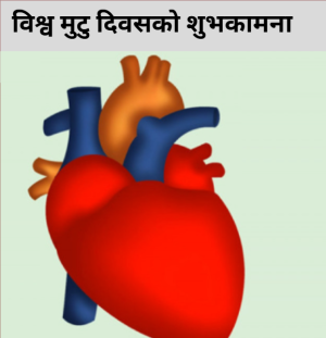 आज विश्व मुटुरोग दिवस मनाइँदै