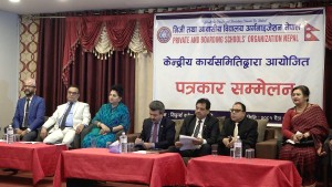 प्याब्सनले सार्वजनिक गर्‍यो १३ बुँदे कार्ययोजना