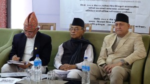 स्वतन्त्र नागरिक छानबिन आयोगको तीनकुने घटनाबारे प्रतिवेदन सार्वजानिक