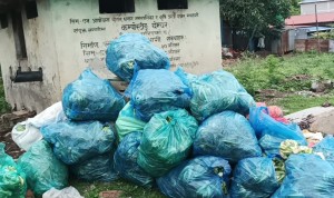 तराईका बजारमा विषादीयुक्त तरकारी छ्यापछ्याप्ती 