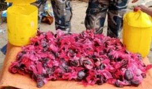खाने तेलको ग्यालेनभित्र चरेश बरामद 