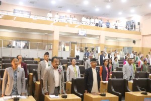 लिम्बू र मैथिलीलाई सरकारी भाषा बनाउने विधेयक अस्वीकृत