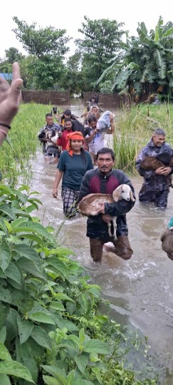 बाढीका कारण झापाका २५० भन्दा धेरै परिवार विस्थापित 