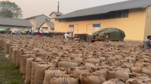 सरकारी तहबाटै धान खरिद भएपछि किसान हर्षित 