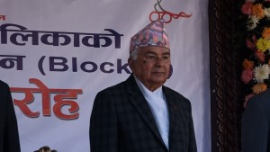 लोकतन्त्र व्यवस्था मात्रै होइन लोकहितमा समर्पिता चरण र चरित्र पनि हो : राष्ट्रपति 
