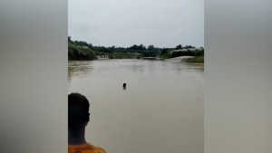 व्रतालुसँगै नुहाउने क्रममा डुबेर बालिका बेपत्ता