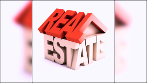 रियल–इस्टेट क्षेत्रमा सरकारको नियमन आवश्यक : महासंघ