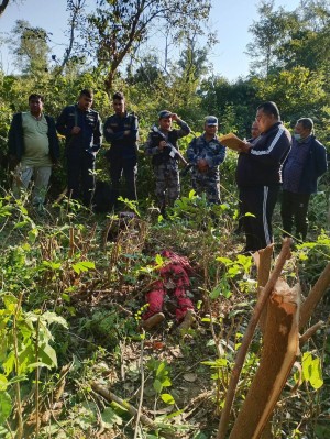 चितुवाले आक्रमण गर्दा एक महिलाको मृत्यु, दुईजनाले भागेर ज्यान बचाए