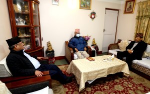 माधव नेपाल बिरामी, प्रधानमन्त्री दाहाल पुगे भेट्न
