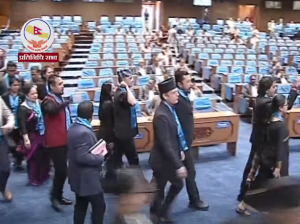 रास्वपा र राप्रपाका सांसदहरुले सदन छाडे