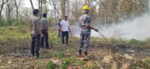 रौतहटका वन जङ्गलमा डढेलोको प्रकोप, मानव बस्ती जोखिममा