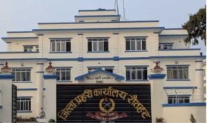 १७ जना फरार प्रतिवादी पक्राउ