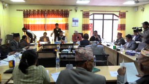 संवैधानिक परिषद विधेयकमा गठबन्धन दलहरुमै मदभेद