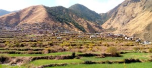 विकटता पन्छाउँदै विकासको बाटोमा अघि बढ्दै बाजुराको हिमाली गाउँपालिका