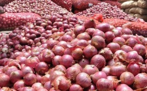 भारतीय बजारमा महंगीयो प्याज, नेपालमा पनि मूल्य उकालो लाग्दै