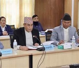 राज्य व्यवस्था तथा सुशासन समितिमा सांसदहरूको निष्कर्ष : तीनकुने घटनामा राज्यबाट गम्भीर सुरक्षा चुक
