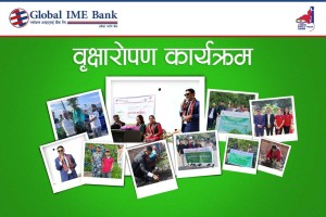 ग्लोबल आइएमई बैंकद्वारा टोखा र दिक्तेल रुपाकोट मझुवागढी  नगरपालिकामा बृक्षारोपण