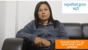 पशुमाथिको क्रुरता बढ्दै (भिडियो)