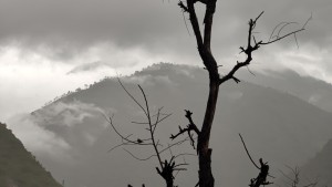 कोशी, गण्डकी र कर्णाली प्रदेशमा बर्षा हुन सक्ने