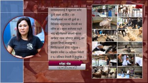 नेपालमा जनावरका लागि कानुन छैन्, भएको मापदण्ड कागजमै सिमित छ : स्नेहा श्रेष्ठ